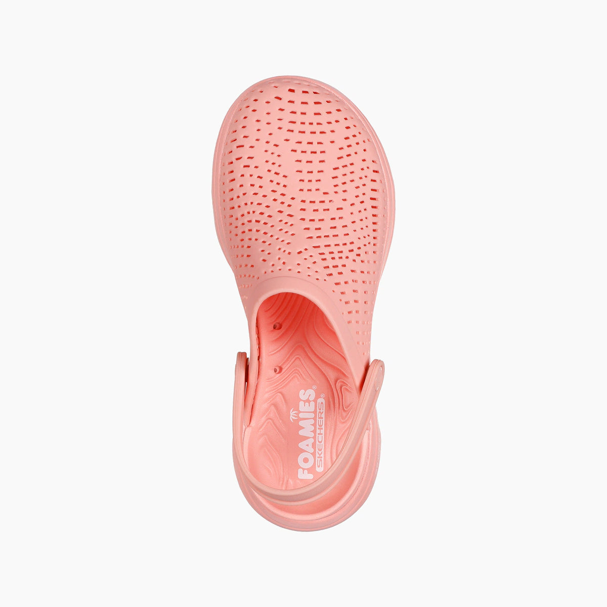 CRL-CORAL SYNTHETIC